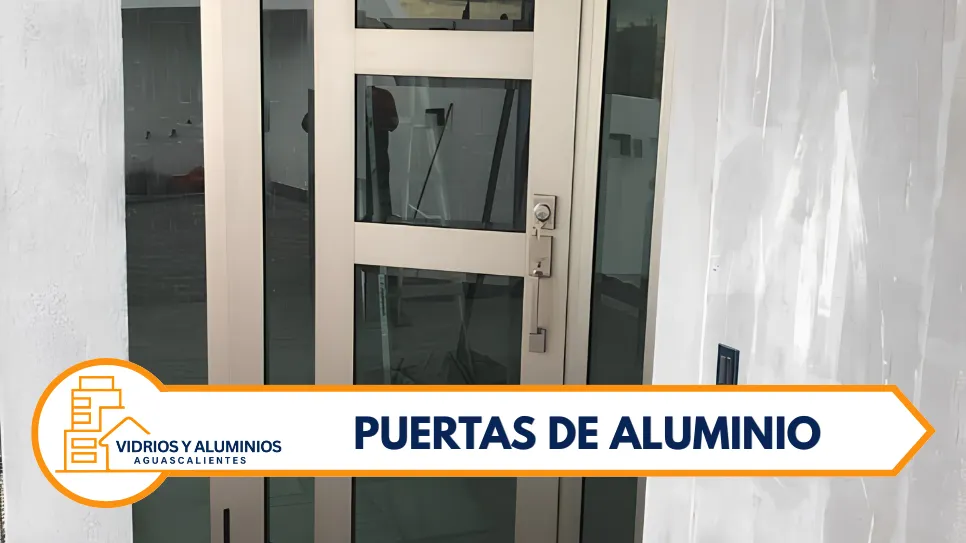 Puertas de Aluminio a la Medida en Aguascalientes